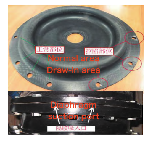 Schematic diagram of a deformed diaphragm